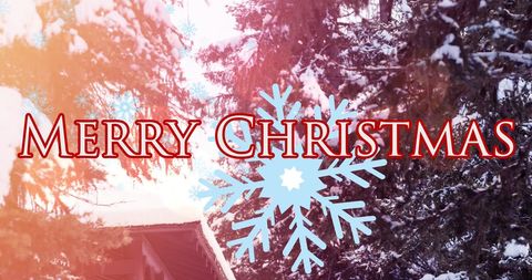 Merry Christmas Text with Winter Snowy Scene - Download Free Stock Images Pikwizard.com