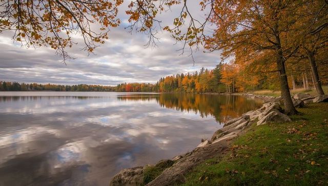 Serene Autumn Lake with Reflective Surface and Colorful Foliage