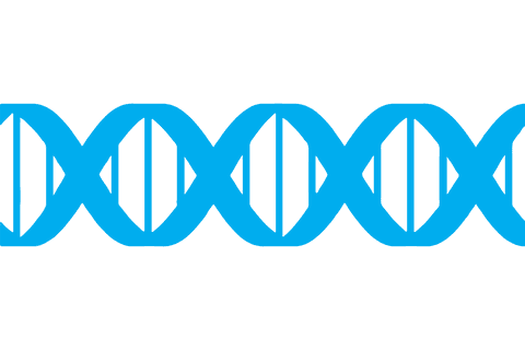 Transparent Blue DNA Strand Illustration Ideal for Science Projects - Download Free Stock Videos Pikwizard.com