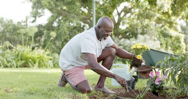 Happy senior african american man planting flowers in sunny garden. Retirement, gardening, hobbies, healthy living, nature and senior lifestyle, unaltered.