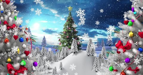 Snow Falling Over Christmas Trees in Winter Wonderland - Download Free Stock Images Pikwizard.com