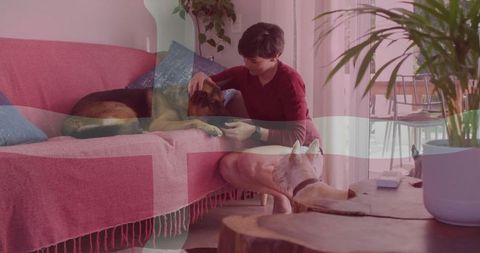 Warm and Cozy Home: Woman with Two Dogs in Modern Living Room