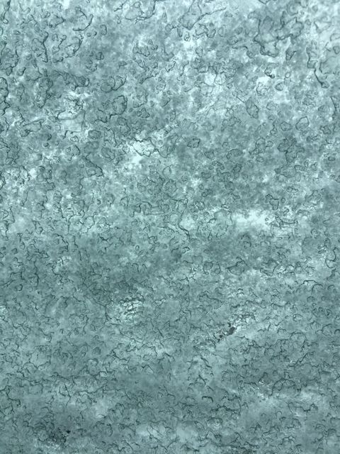 This image is suitable for use as a background or texture in graphic design projects. The detailed frost patterns on the glass create an artistic and unique look that can be used in winter-themed promotional materials, websites, or social media posts. It can also complement design work related to cold environments, elegance, and minimalistic themes.