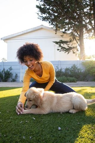 Cheerful Woman Playing with Golden Retriever Puppy in Sunny Backyard