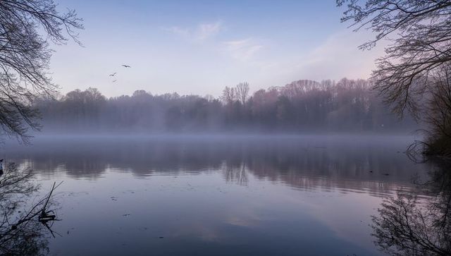 Mist-covered lake reflecting pastel dawn sky with gliding birds and bare tree silhouettes