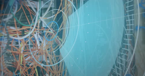 Digital Data Integration in a Network Server Environment