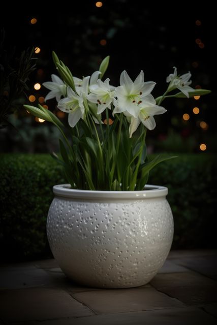 White flowers in ceramic planter in garden at night, created using generative ai technology. Flowers, plants, growth, spring, nature and gardening concept digitally generated image.