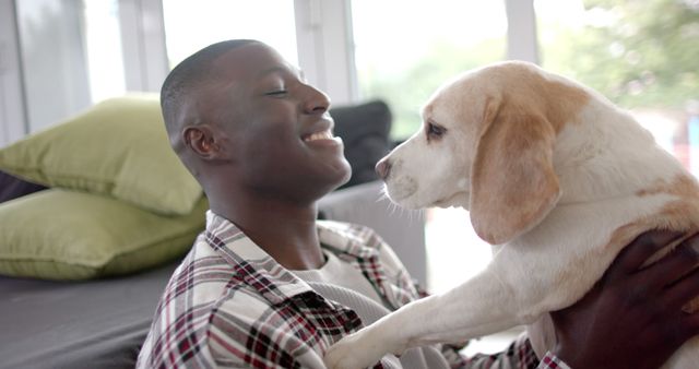 This image shows a young man playing with his cute Beagle puppy indoors. Great for illustrating themes of pet care, companionship, relaxation, or everyday life. Suitable for use in pet product advertisements, blog posts about pet ownership, or lifestyle websites focusing on home and wellbeing.