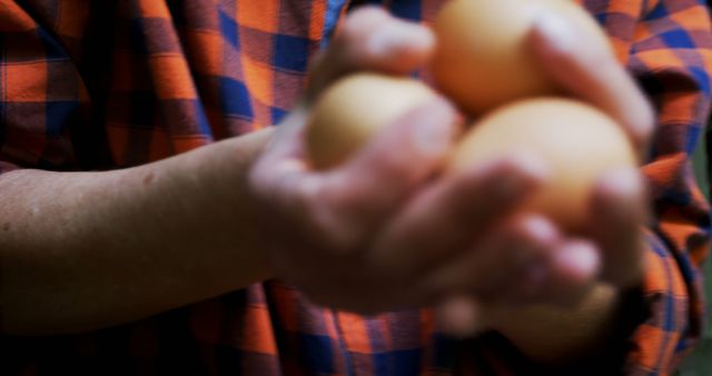 Person Holding Fresh Brown Eggs in Hands - Download Free Stock Images Pikwizard.com