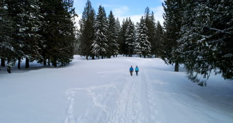 Couple Walking in Pristine Snowy Winter Forest