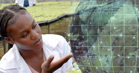 Scientist using digital technology in sustainable agriculture research