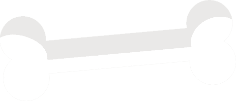 Transparent white bone icon with minimalist design