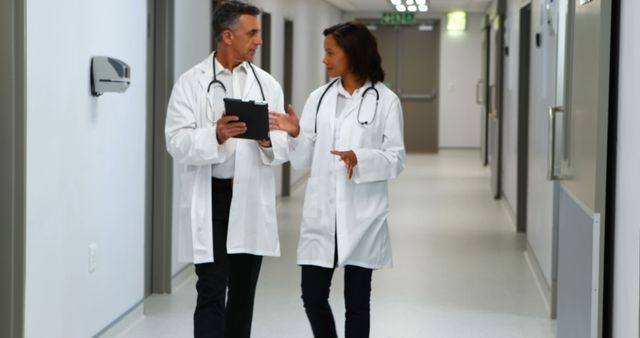 Two Doctors Discussing Patient Records in Hospital Corridor - Download Free Stock Images Pikwizard.com