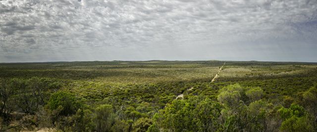 Expansive View of Vast Australian Outback Under Cloudy Sky - Download Free Stock Photos Pikwizard.com