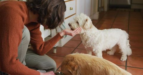 Woman Feeding Dogs in Kitchen with Warm Domestic Vibe
