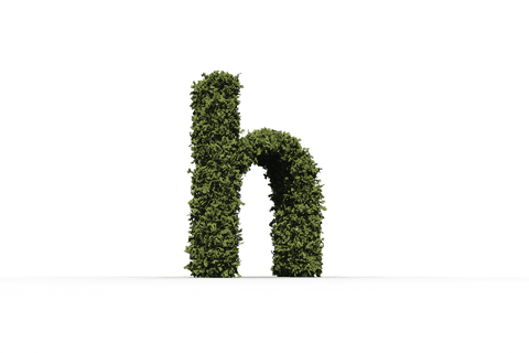 h letter landscaping concept with transparent background - Download Free Stock Videos Pikwizard.com