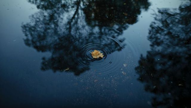 Solitary golden leaf floating on dark pond creating ripples under tree reflections