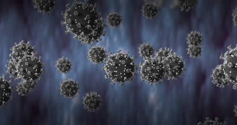 Conceptual Animation of Virus Cells in Motion