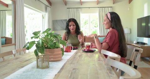Diverse Female Friends Chatting Over Tea at Sunlit Wooden Dining Table with Houseplant