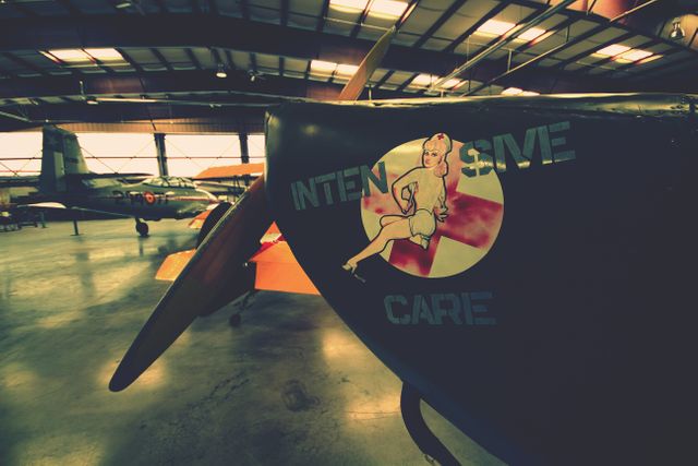 Vintage World War II aircraft displayed in airplane hangar. Nose art of pin-up girl visible. Ideal for articles on military history, aviation, and wartime memorabilia displays.