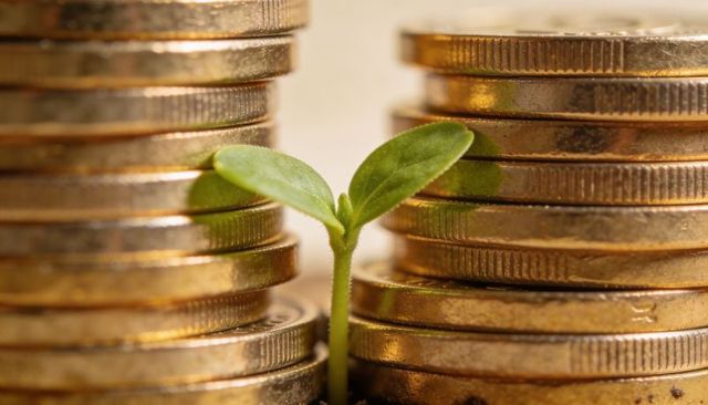 Small green seedling growing between stacked gold coins symbolizing financial growth