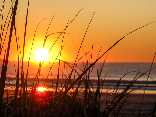 Golden Sunset Over Seaside through Grass Blades - Download Free Stock Photos Pikwizard.com