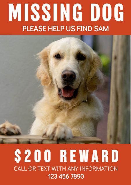 Missing dog announcement featuring a golden retriever with details for a reward. Useful for community message boards, social media campaigns, and neighborhood notifications to help locate and return the missing pet.