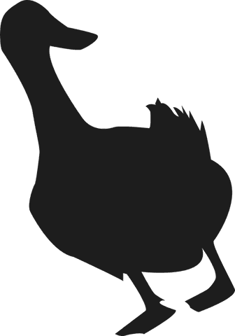 modern silhouette of waterfowl with jagged tail on transparent background - Download Free Stock Videos Pikwizard.com