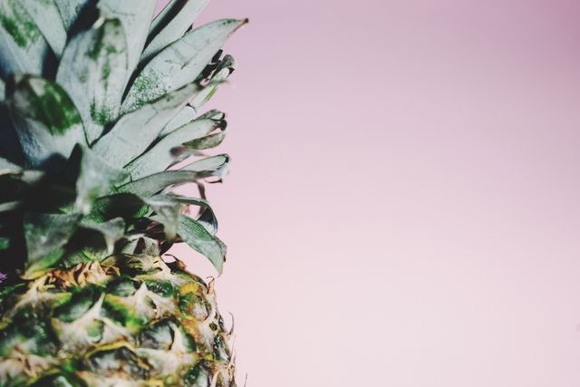 This stock photo features a close-up of a pineapple with its green spiky leaves against a bright pink background, providing a vibrant and tropical aesthetic. Ideal for use in advertisements, social media posts about healthy eating, summer-themed promotions, and tropical vacation marketing materials.