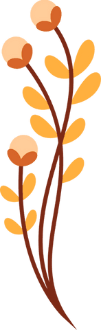 flat botanical plant graphic on transparent background - Download Free Stock Videos Pikwizard.com