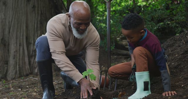 Grandfather and grandson planting a small tree together in a garden. Grandfather uses his hands to cover the soil around the sapling while the grandson kneels, observing with interest. Tall trees and green foliage are visible in the background. This can be used for themes related to family bonding, generational connections, environmental conservation, gardening, and educational activities for children.