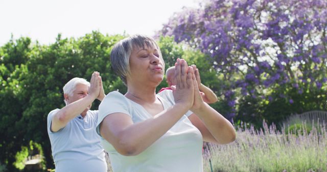 Senior Group Yoga and Meditation in Outdoor Garden Setting - Download Free Stock Images Pikwizard.com