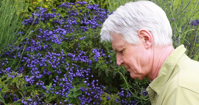 Depicts an elderly man appreciating purple flowers in a garden, capturing a serene moment in nature. Ideal for use in articles about gardening hobbies for older adults, promoting outdoor activities and the benefits of nature for the elderly.