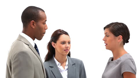 Diverse Business Team Engaged in Professional Discussion