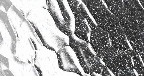 Monochrome Abstract with Particles Over Organic Waves