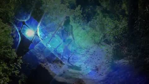 Technology Overlay Guiding Hiker on Forest Adventure