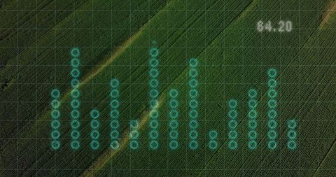 Precision farming data visualization over lush crop field