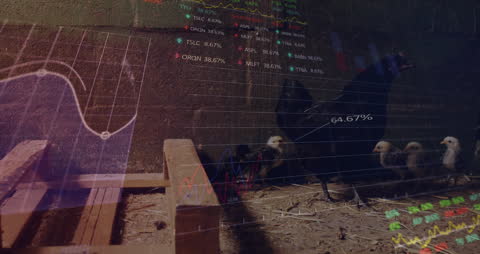 Excited Business Team Reviewing Data in Virtual Meeting