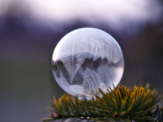 Frost patterns forming on translucent bubble perched on tree branches, creating captivating winter scene. Ideal for publications on winter, nature art, science, and cold weather concepts.