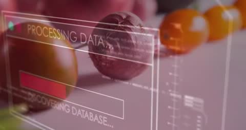 Augmented Reality HUD Processing Produce Data with Progress Bar Over Beetroot and Tomatoes