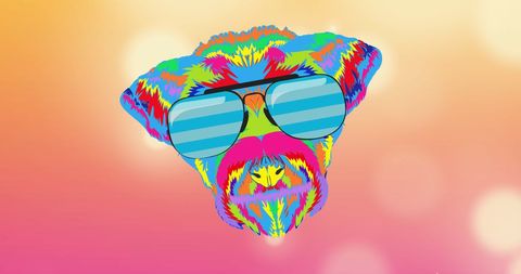 Colorful Dog with Sunglasses on Vibrant Background - Download Free Stock Images Pikwizard.com