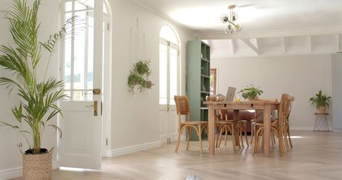 Sunlit minimalist dining room with wooden table, rattan chairs, plants and parquet floor