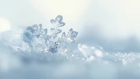 Macro video of single faceted snowflake sparkling on frosty surface with gentle bokeh