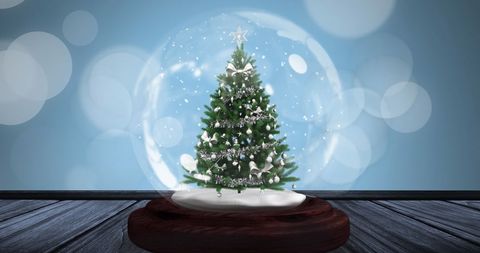Elegant snow globe with festive christmas tree display
