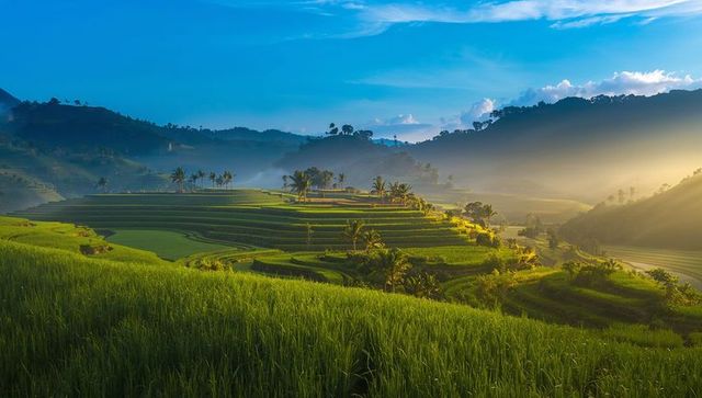 Sunlit terraced rice paddies cascading across misty tropical hills at golden morning