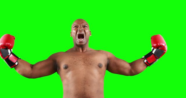 Excited Bare-Chested Boxer Celebrating Victory on Isolated Green Background - Download Free Stock Images Pikwizard.com