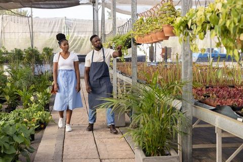 African american nursery worker guiding visitor in greenhouse pointing at hanging plants