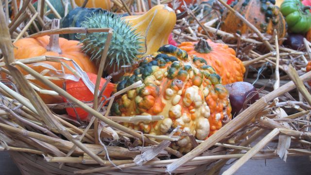 Agriculture autumn autumn decoration fruits - Download Free Stock Photos Pikwizard.com