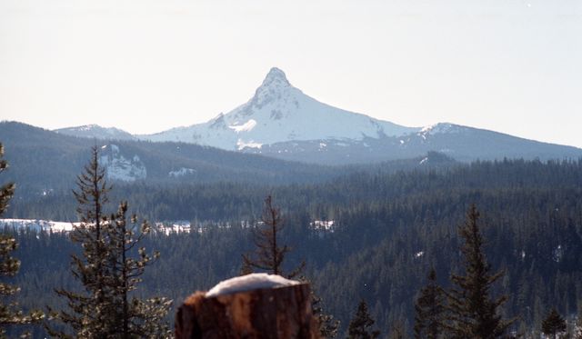 Snowy Mountain Peak Against Clear Sky in Forested Landscape - Download Free Stock Photos Pikwizard.com