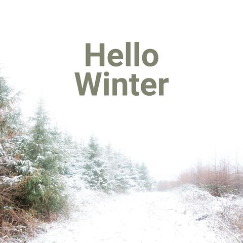winter forest with snowy trees and hello winter text - Download Free Stock Templates Pikwizard.com
